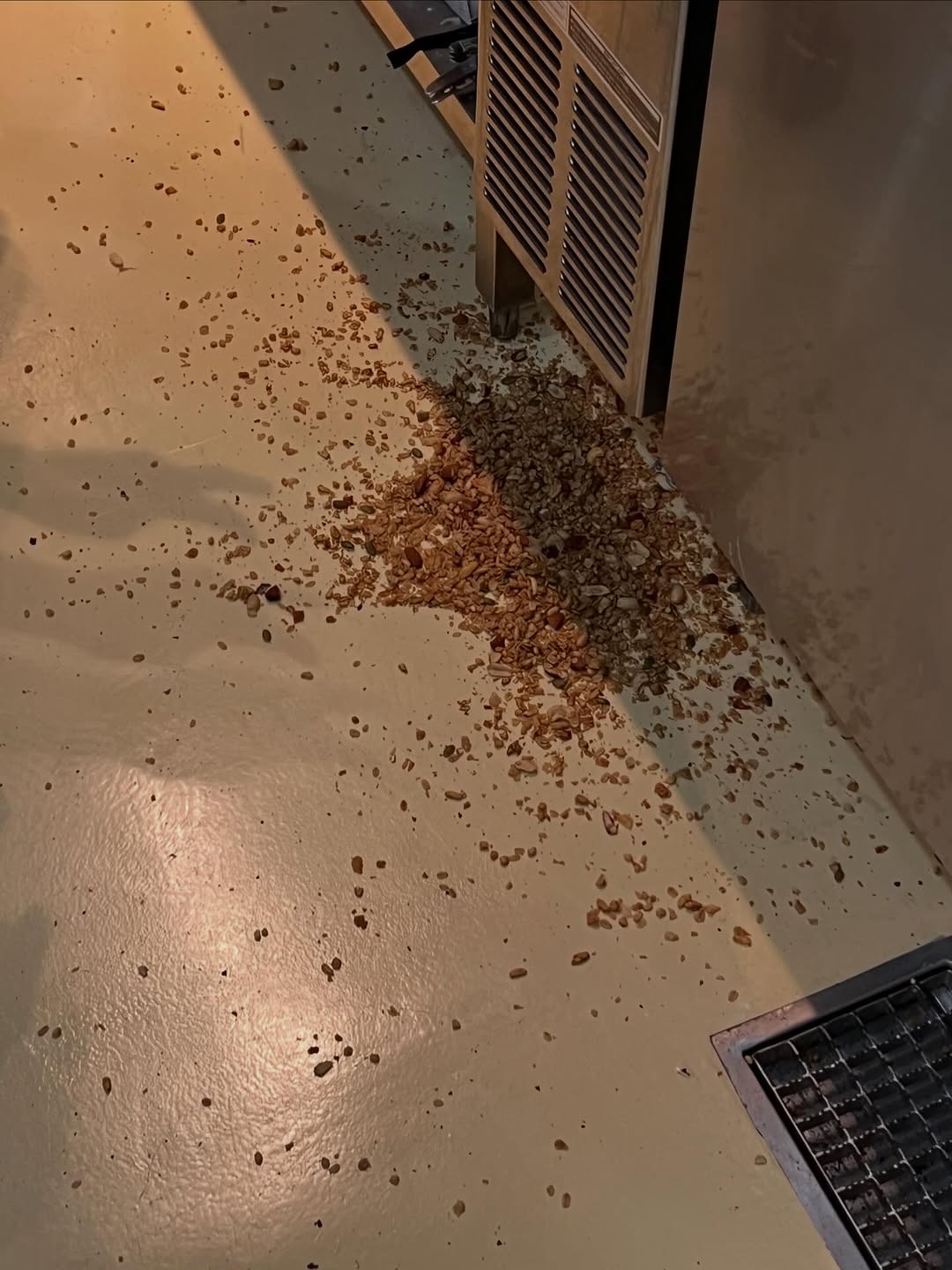 Bakery seeds on floor — atmosphere